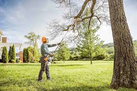 Best Hazardous Tree Removal  in Hill N Dale, FL